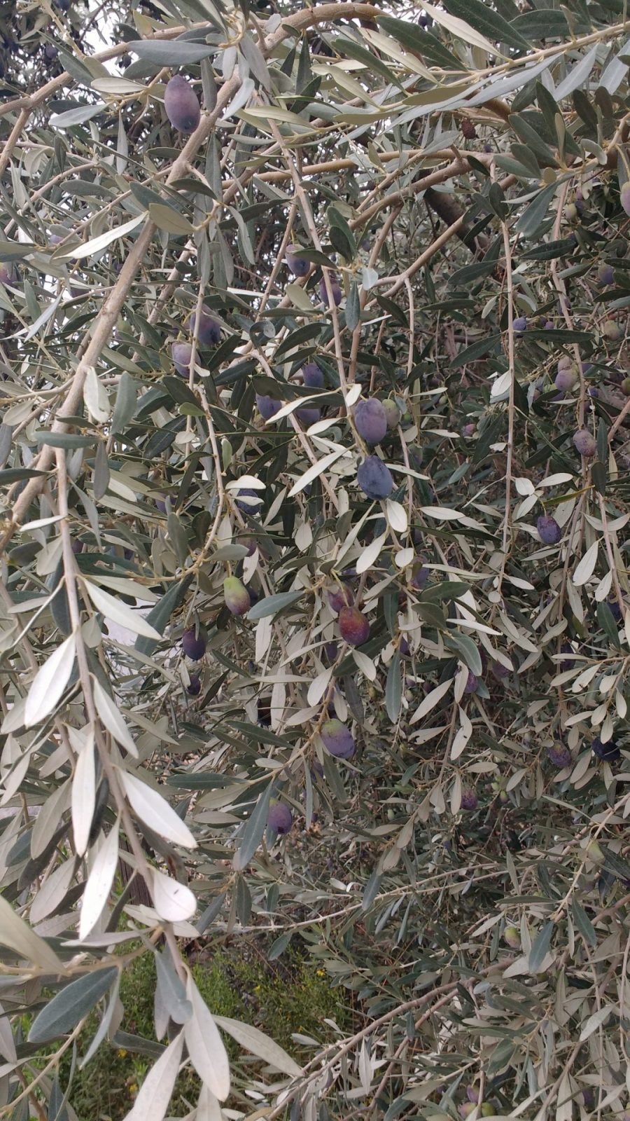 IMG_20211101_114043713