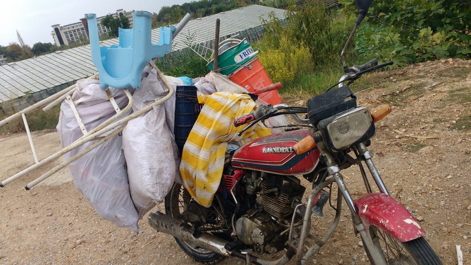 IMG_20211101_115218651