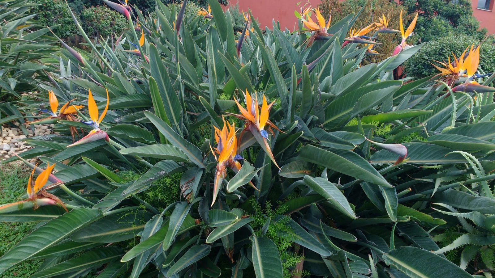 IMG_20211102_102448841