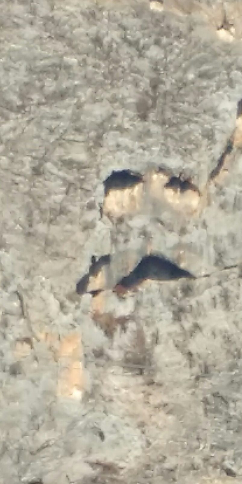 IMG_20211103_142415590~2