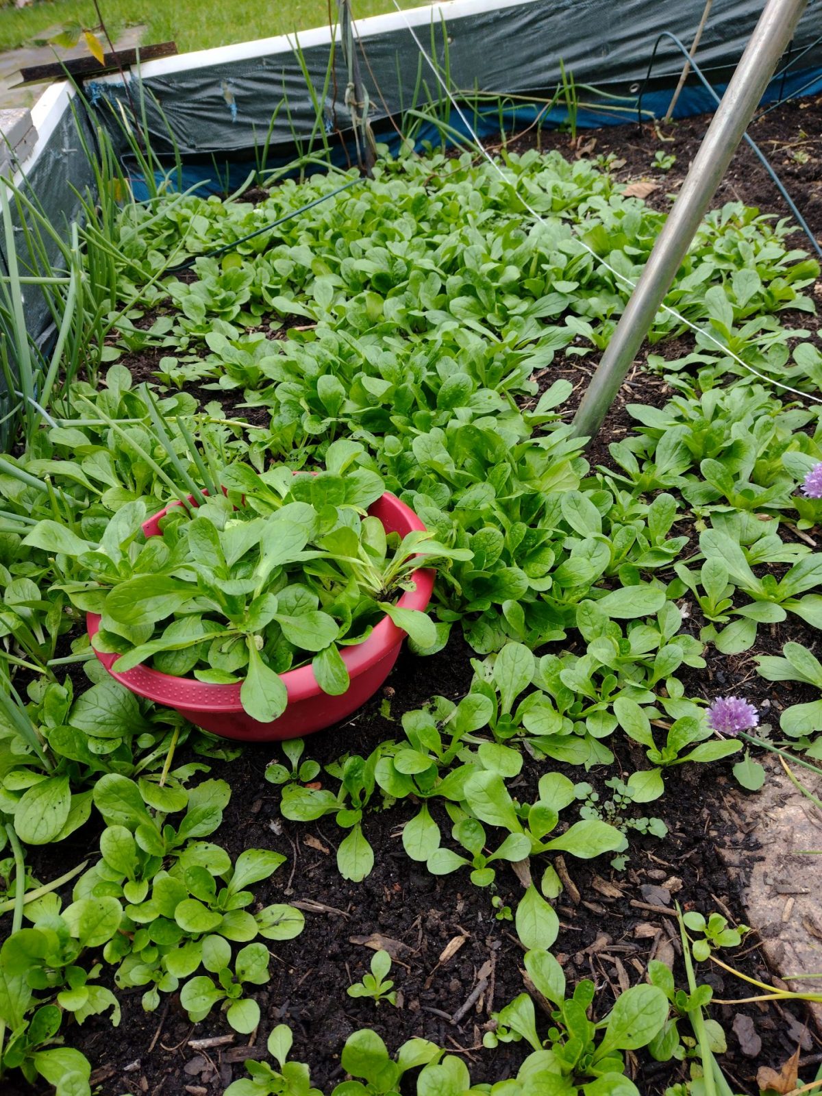 IMG_20211121_111226945