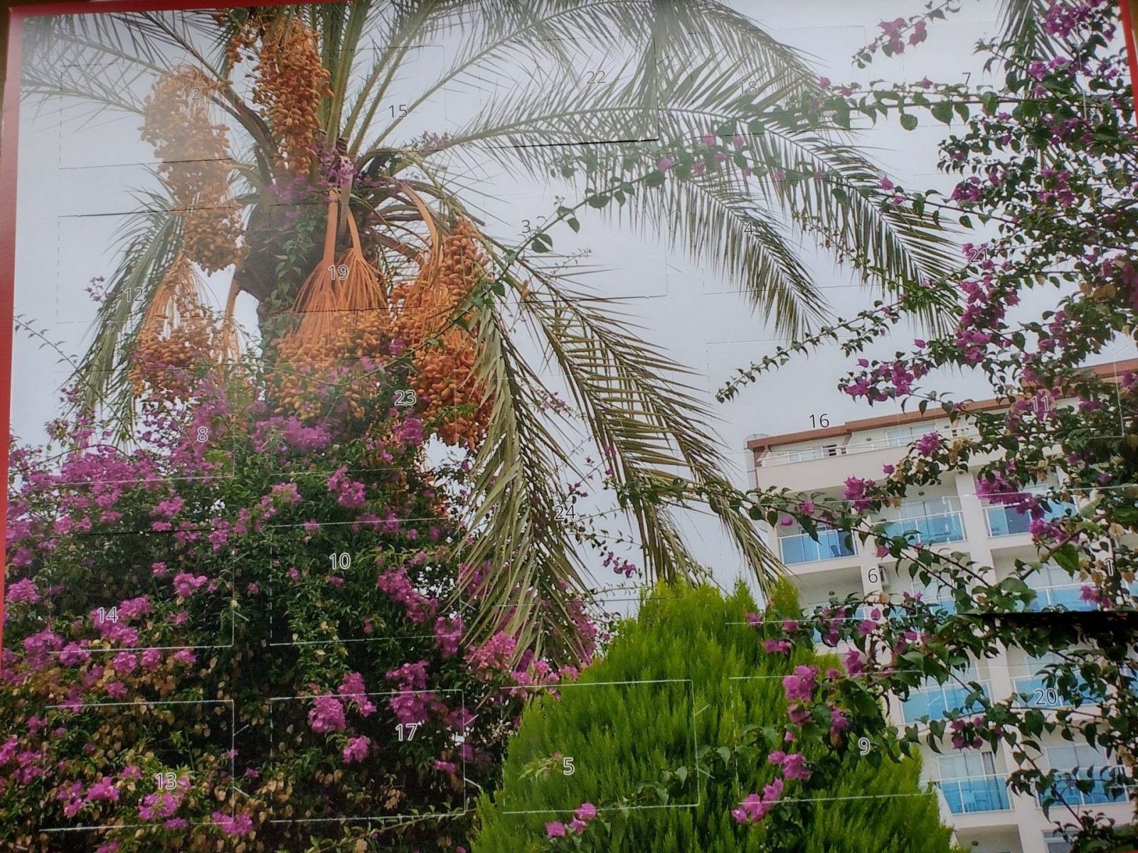 IMG_20211201_103214127_HDR