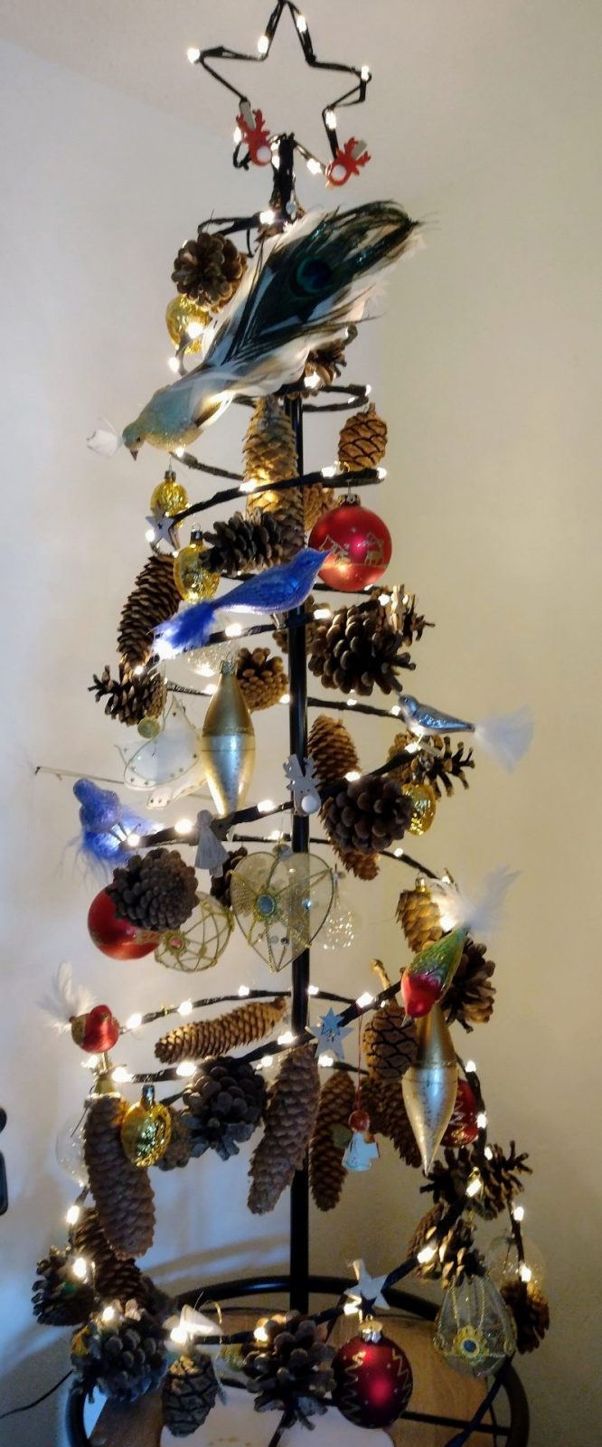 IMG_20211203_132043811