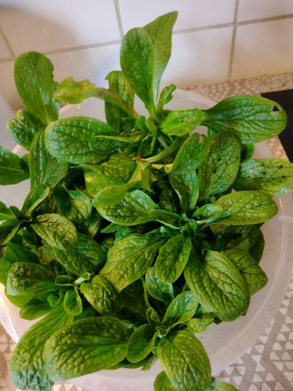 IMG_20211207_122842192