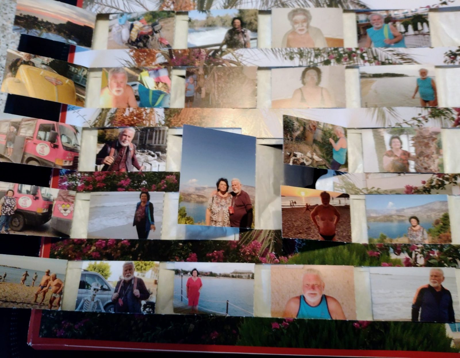 IMG_20211225_113400729