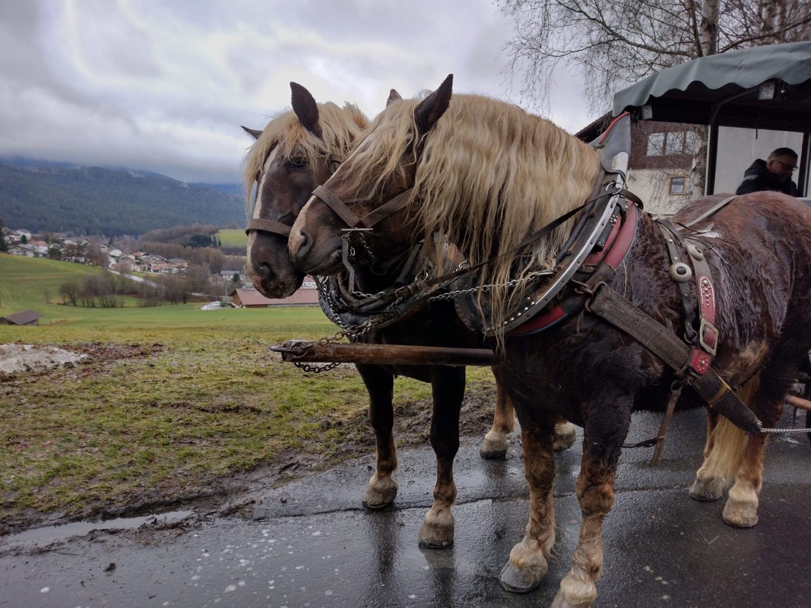 IMG_20211229_133558919_HDR