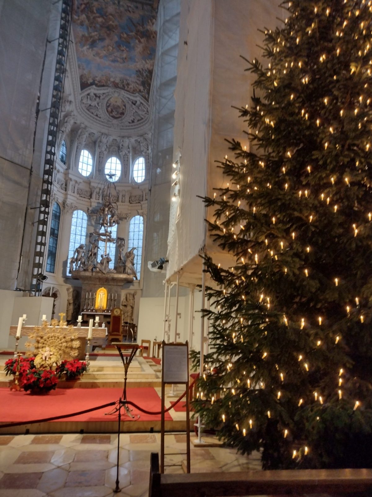 IMG_20211230_114013735_HDR