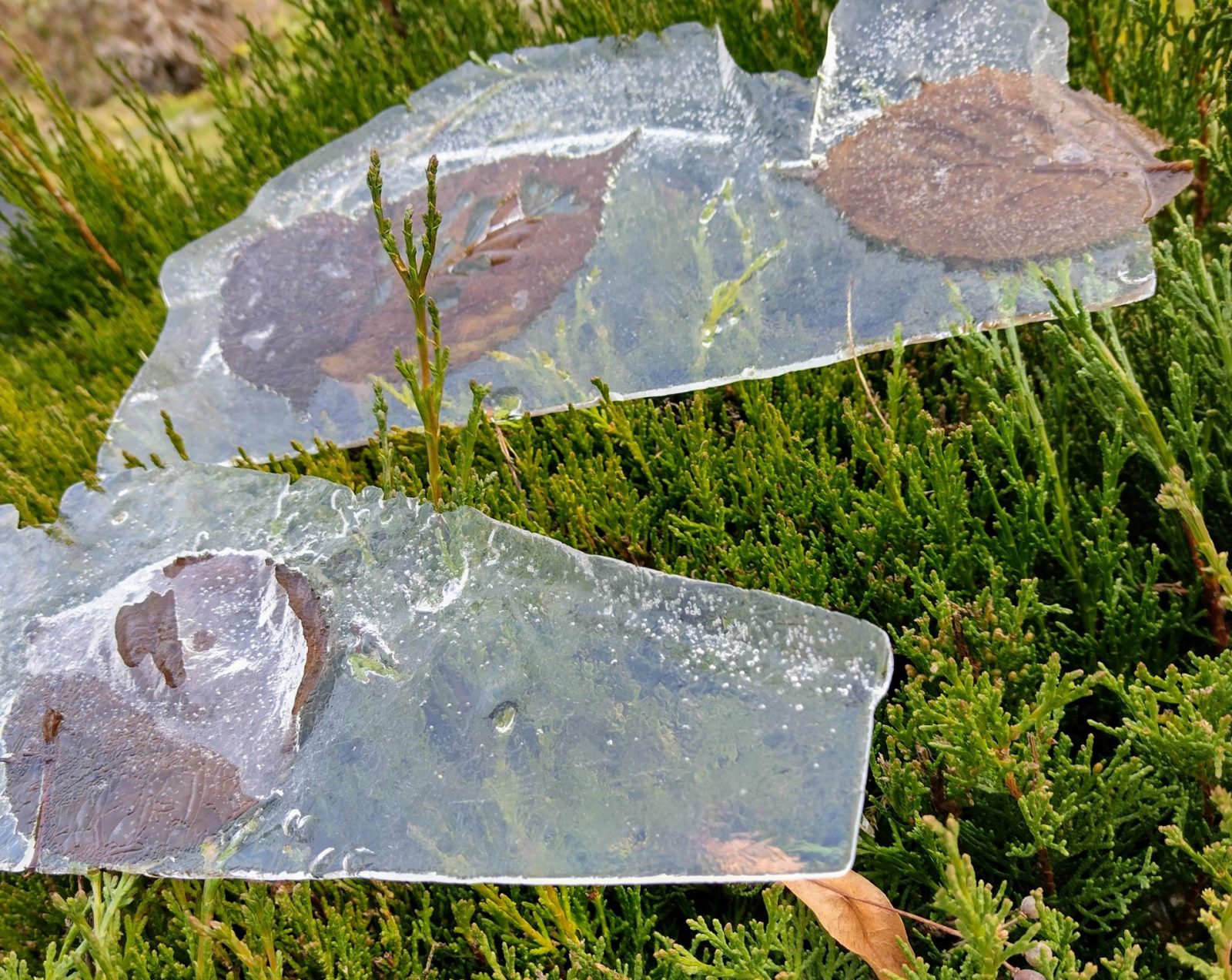 IMG_20220121_131331776_HDR