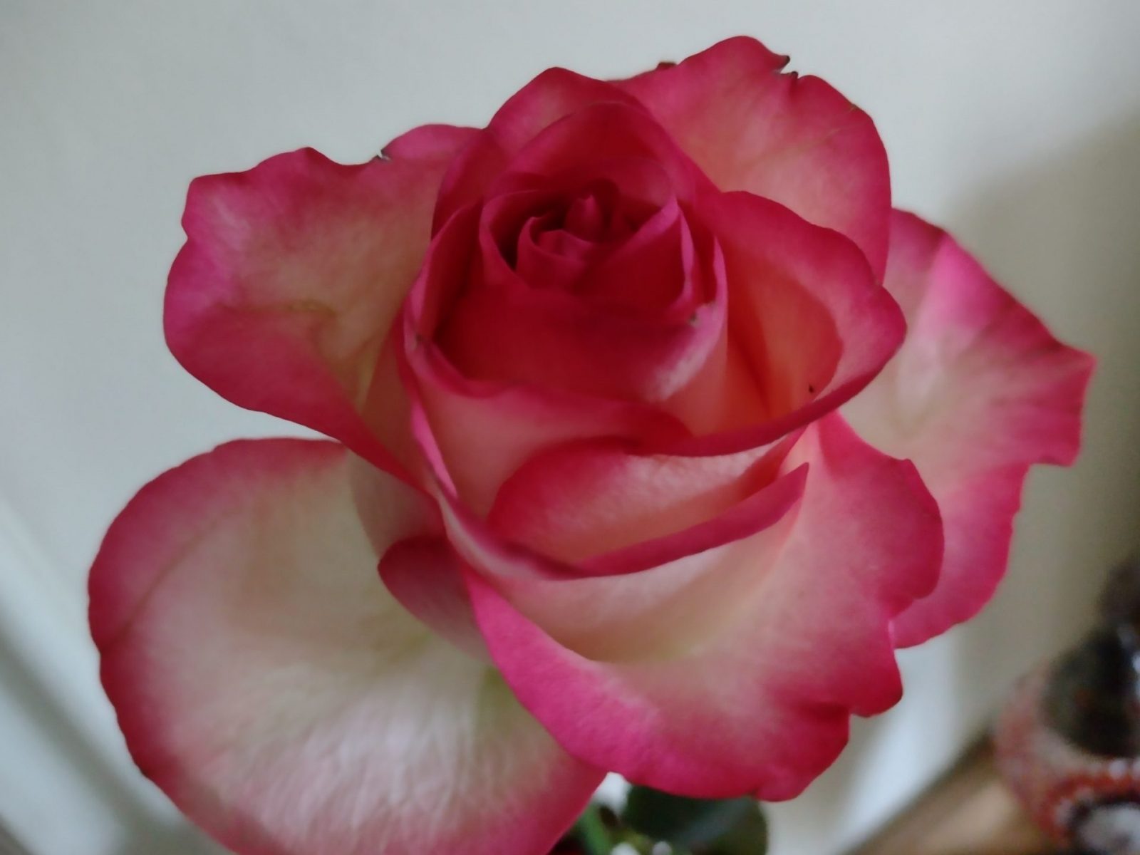 IMG_20220206_112803712