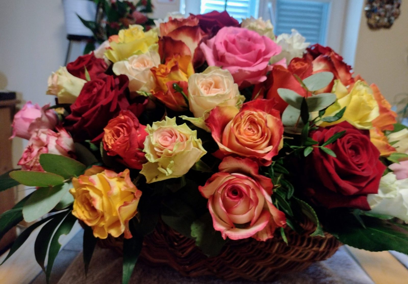 IMG_20220207_104504821_HDR