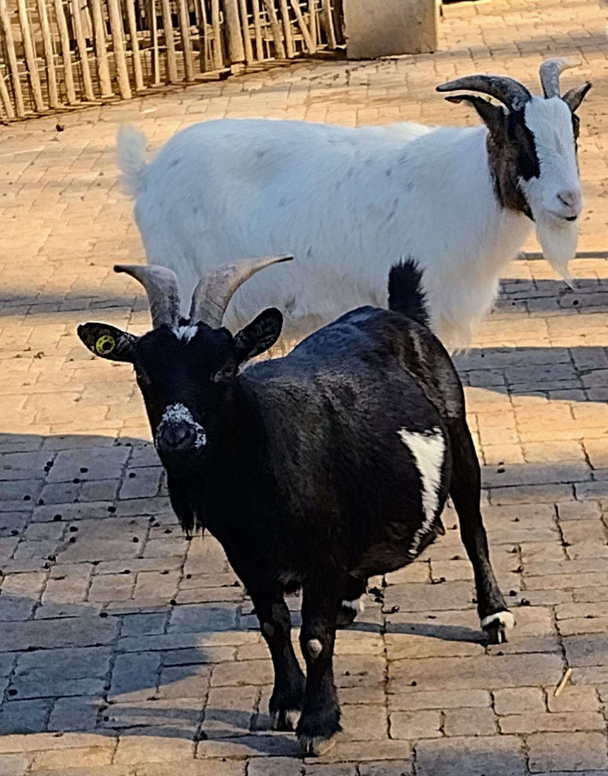 IMG_20220209_120456123