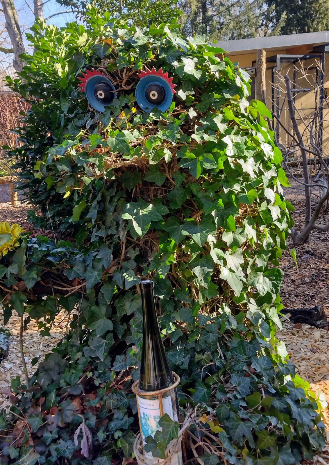 IMG_20220209_122732871_HDR