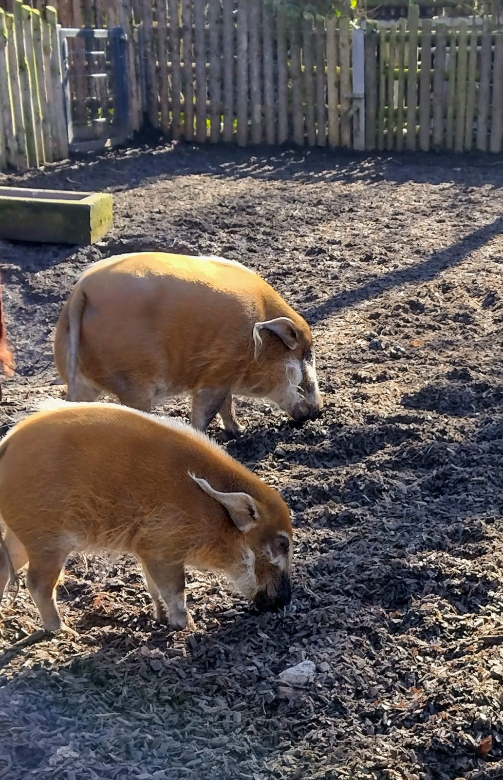 IMG_20220209_125737900_HDR