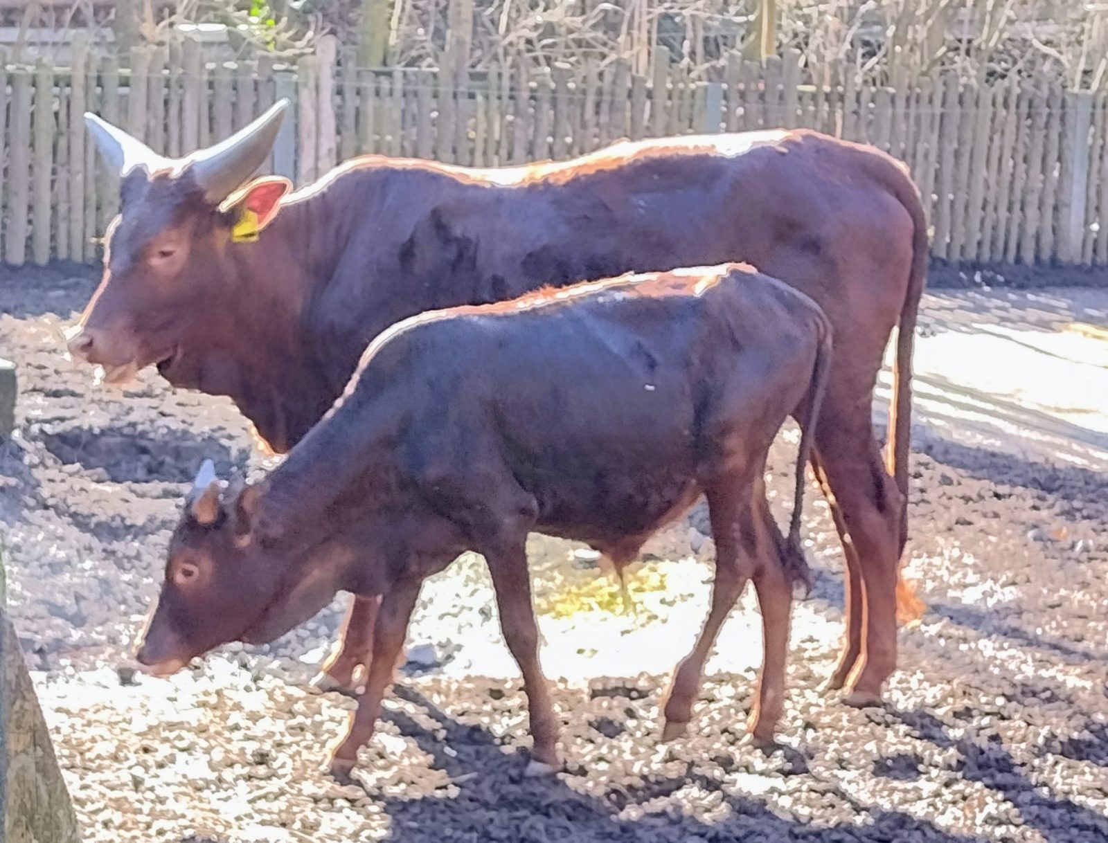 IMG_20220209_130059770