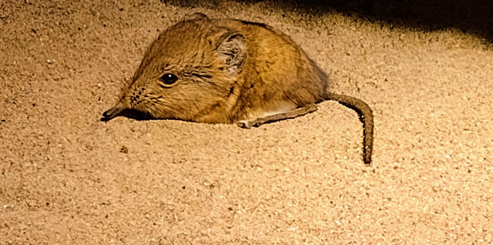 IMG_20220209_135635736