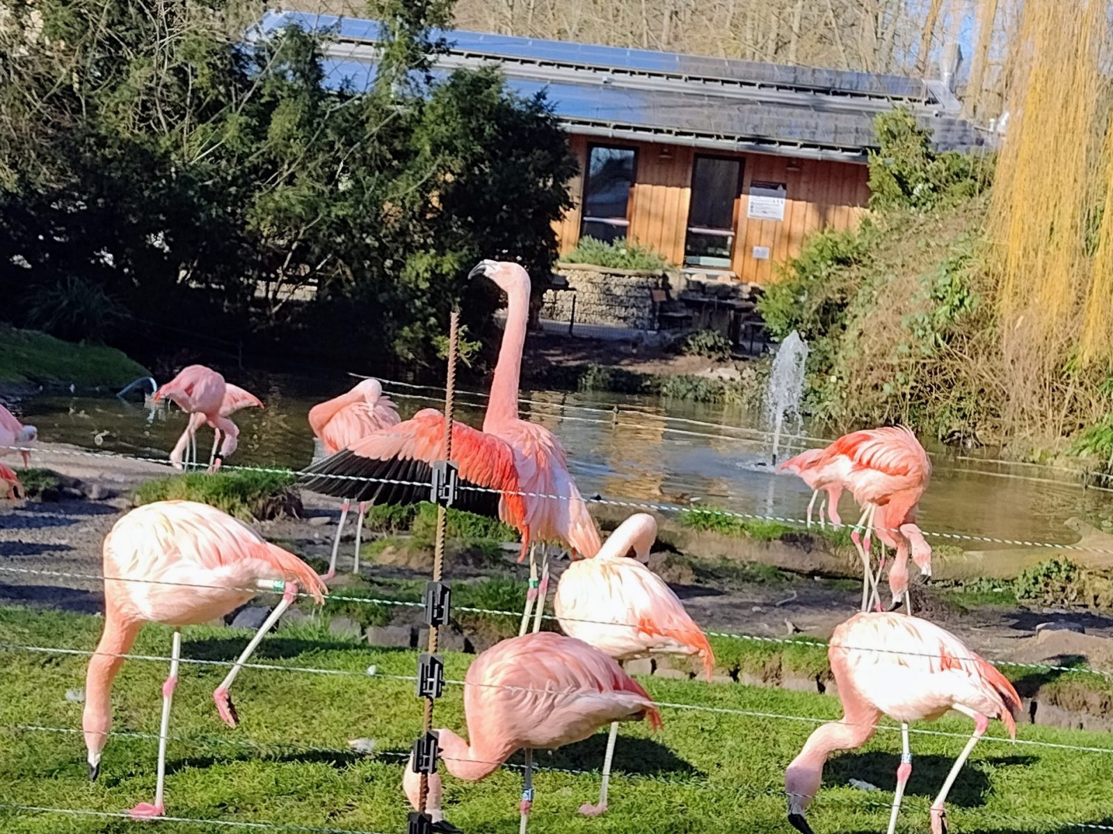 IMG_20220209_142000071