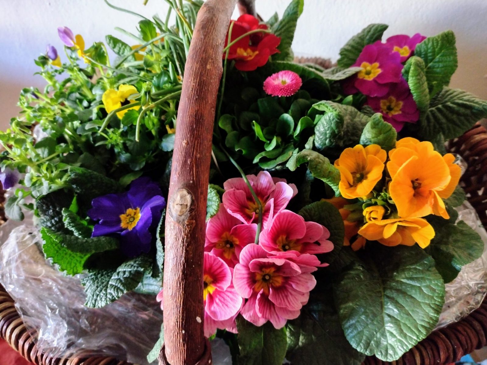 IMG_20220223_154437813_HDR