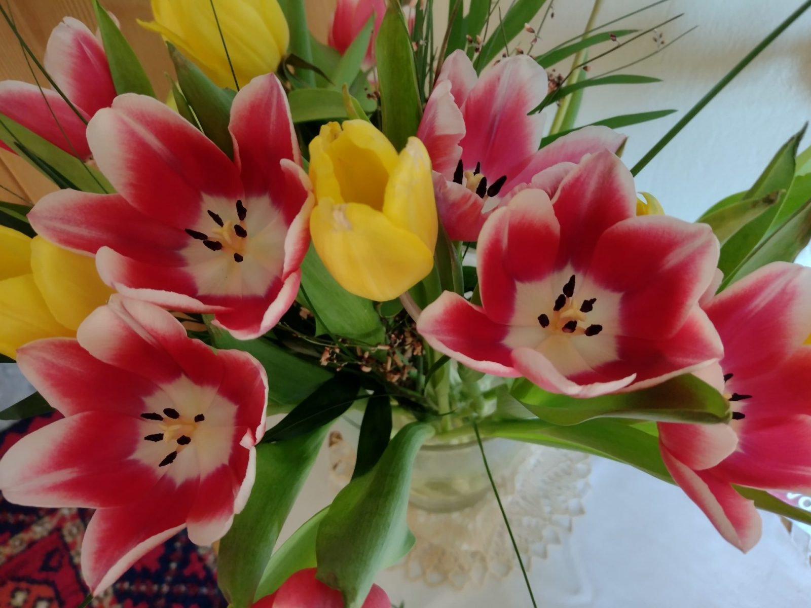 IMG_20220301_100400824