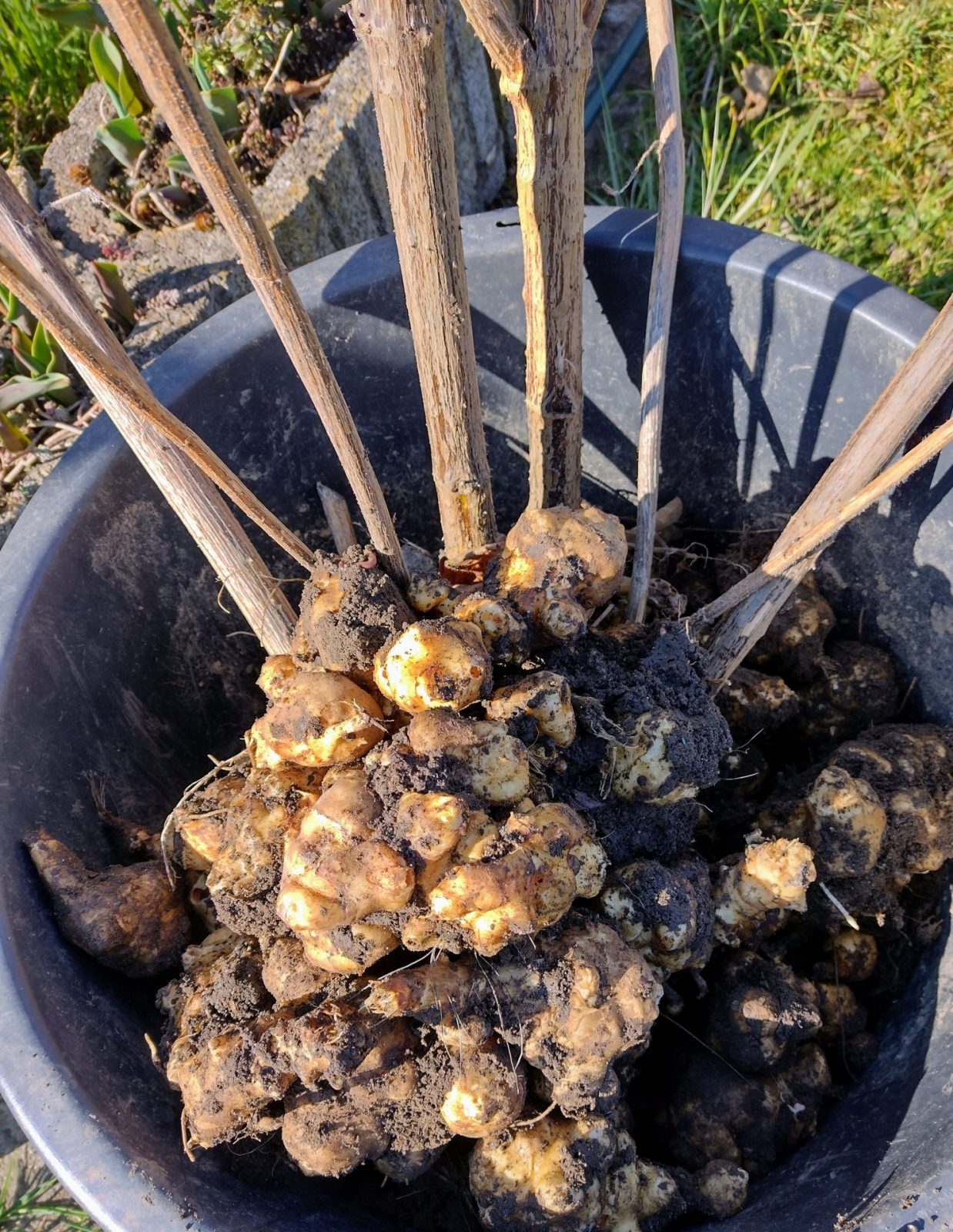 IMG_20220303_135645018_HDR