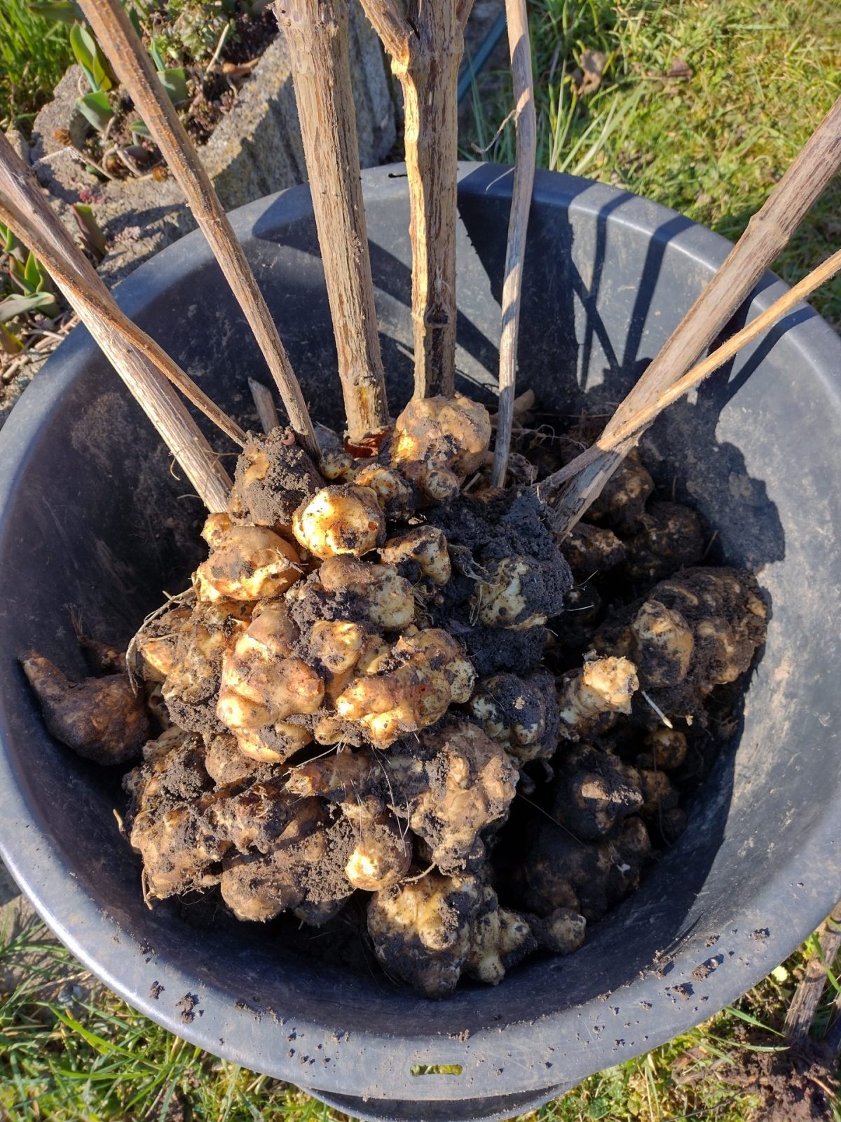 IMG_20220303_135645018_HDR