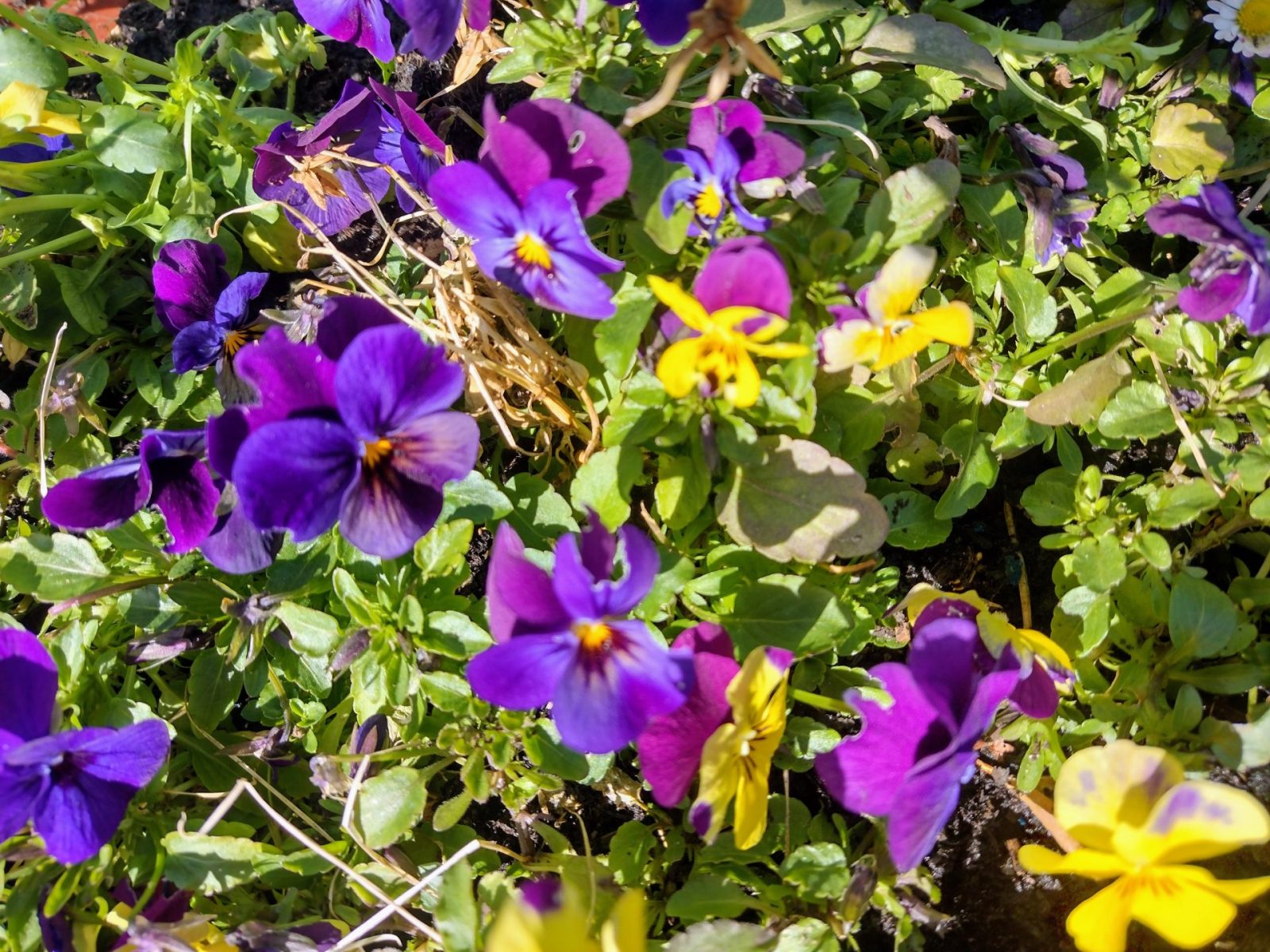 IMG_20220305_134935641_HDR