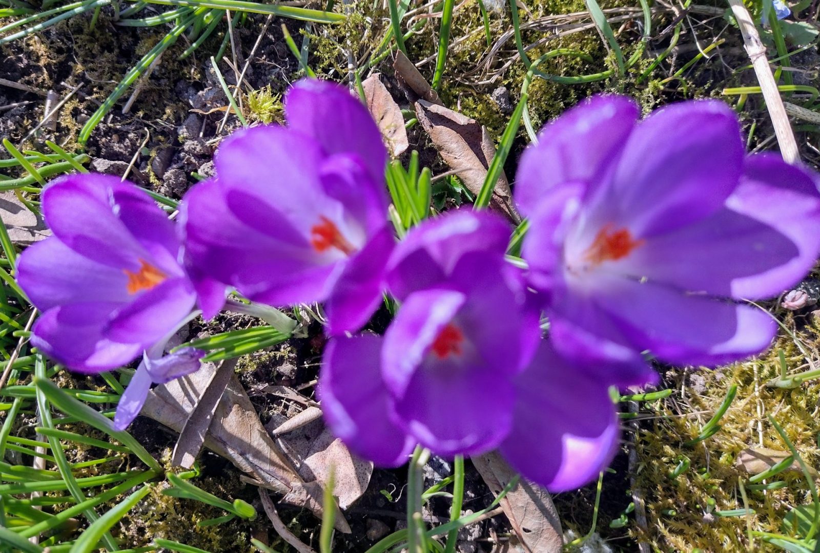 IMG_20220305_134949720_HDR