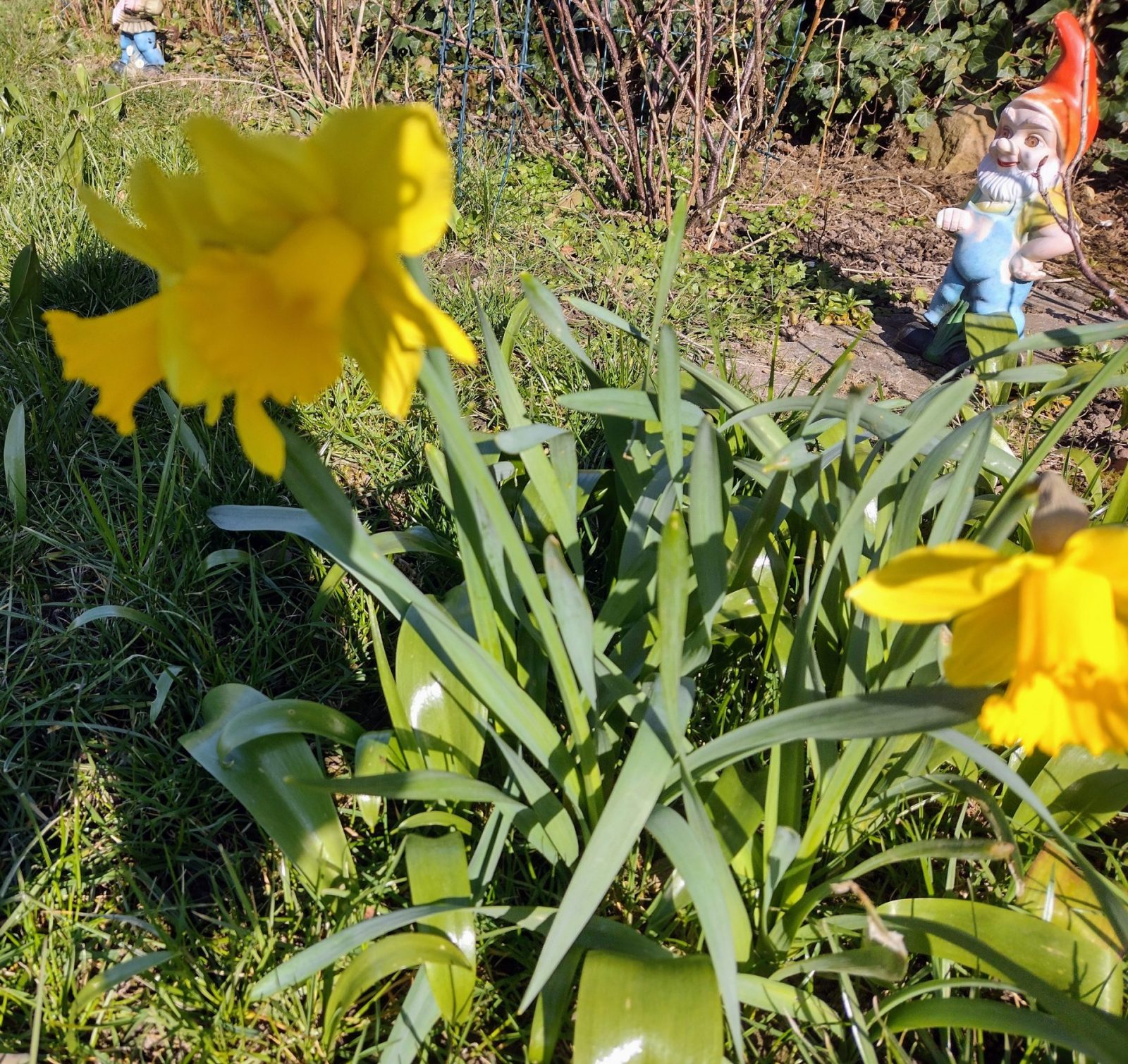 IMG_20220305_135112854_HDR