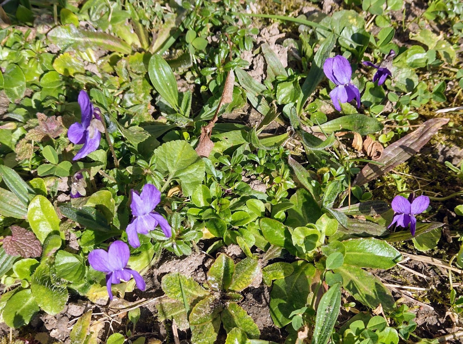 IMG_20220305_141625302_HDR