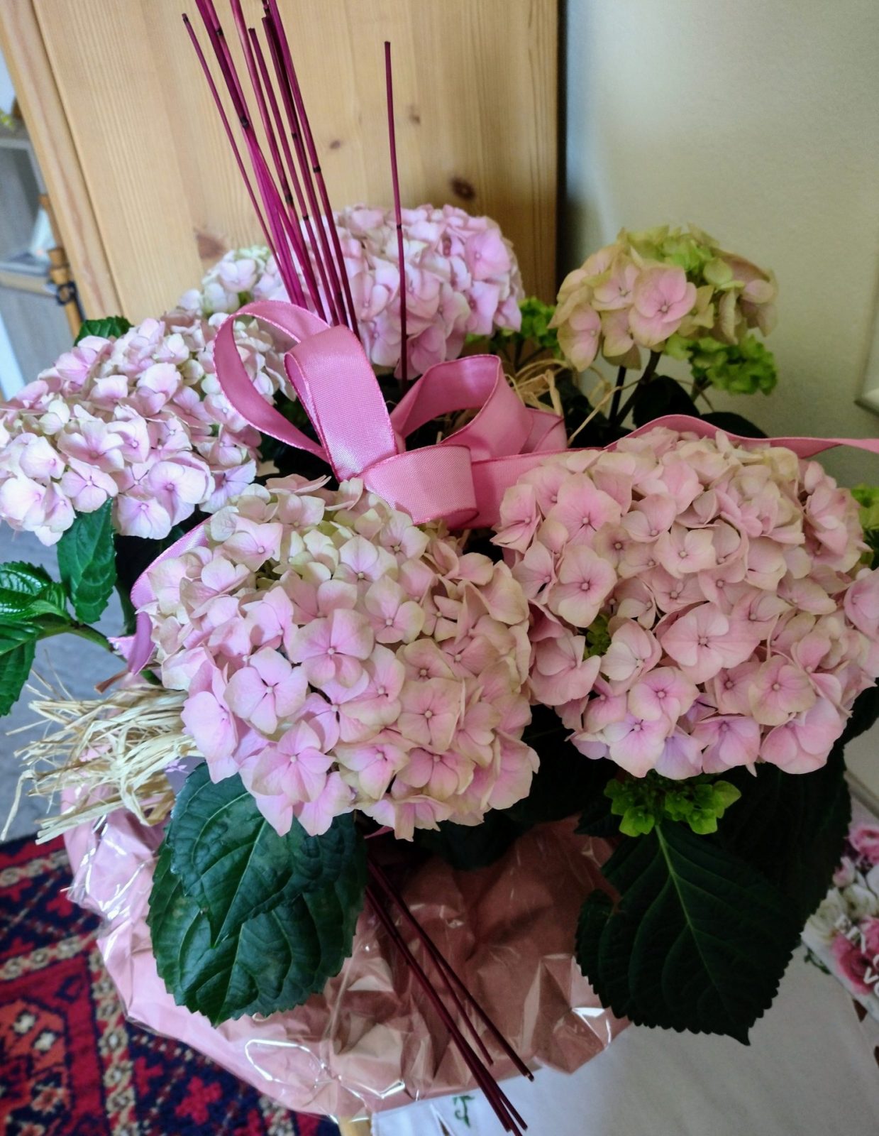 IMG_20220307_124820037_HDR