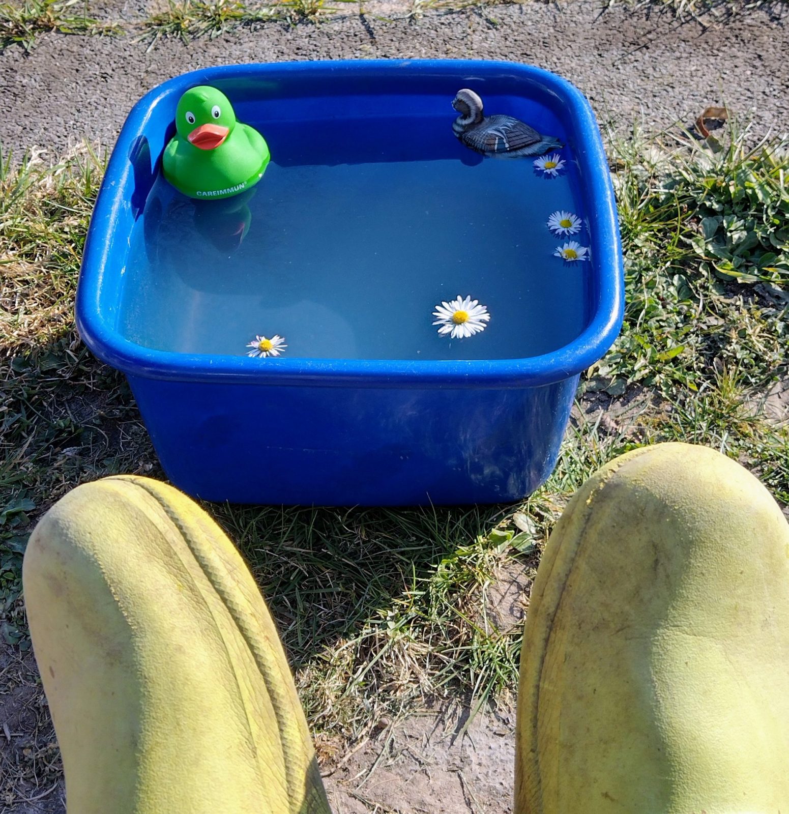 IMG_20220311_152644372_HDR