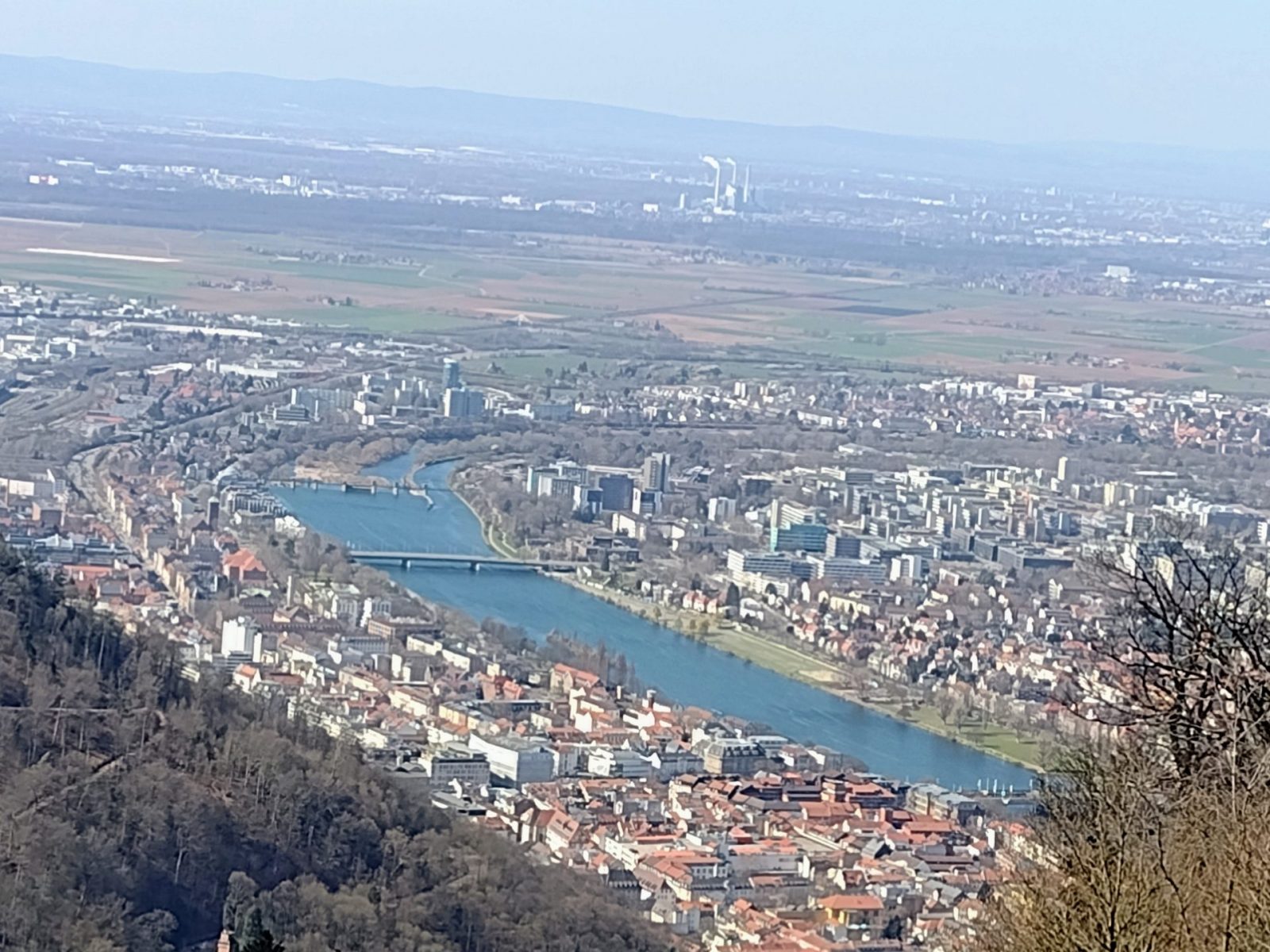 IMG_20220319_124346768