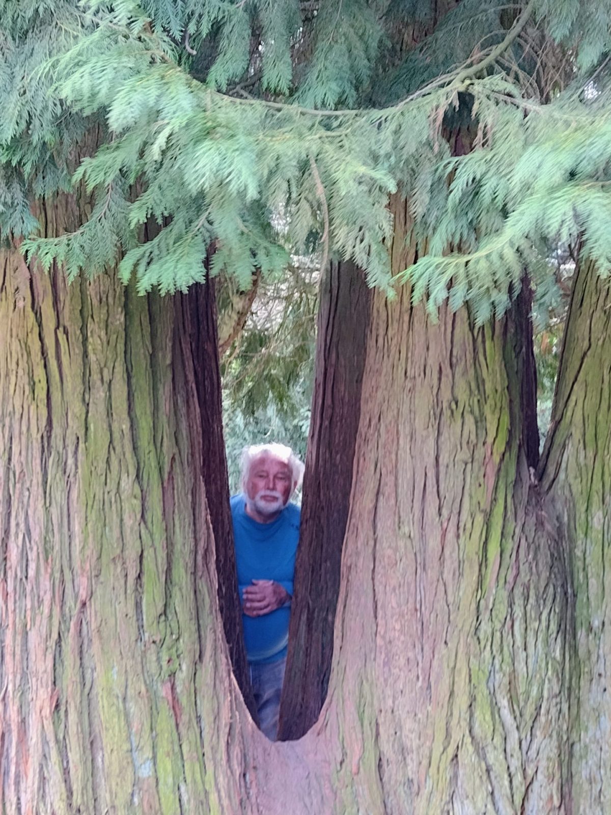 IMG_20220319_133856638_MP