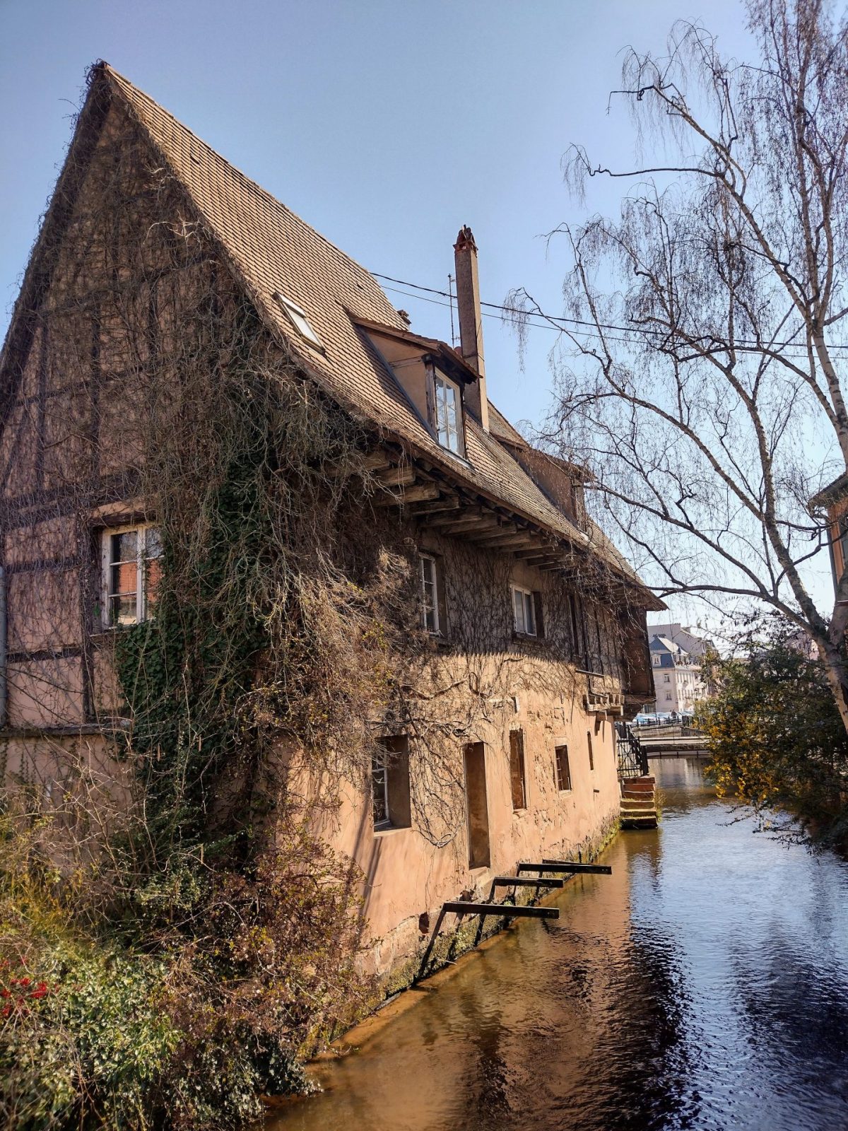 IMG_20220322_121341909_HDR