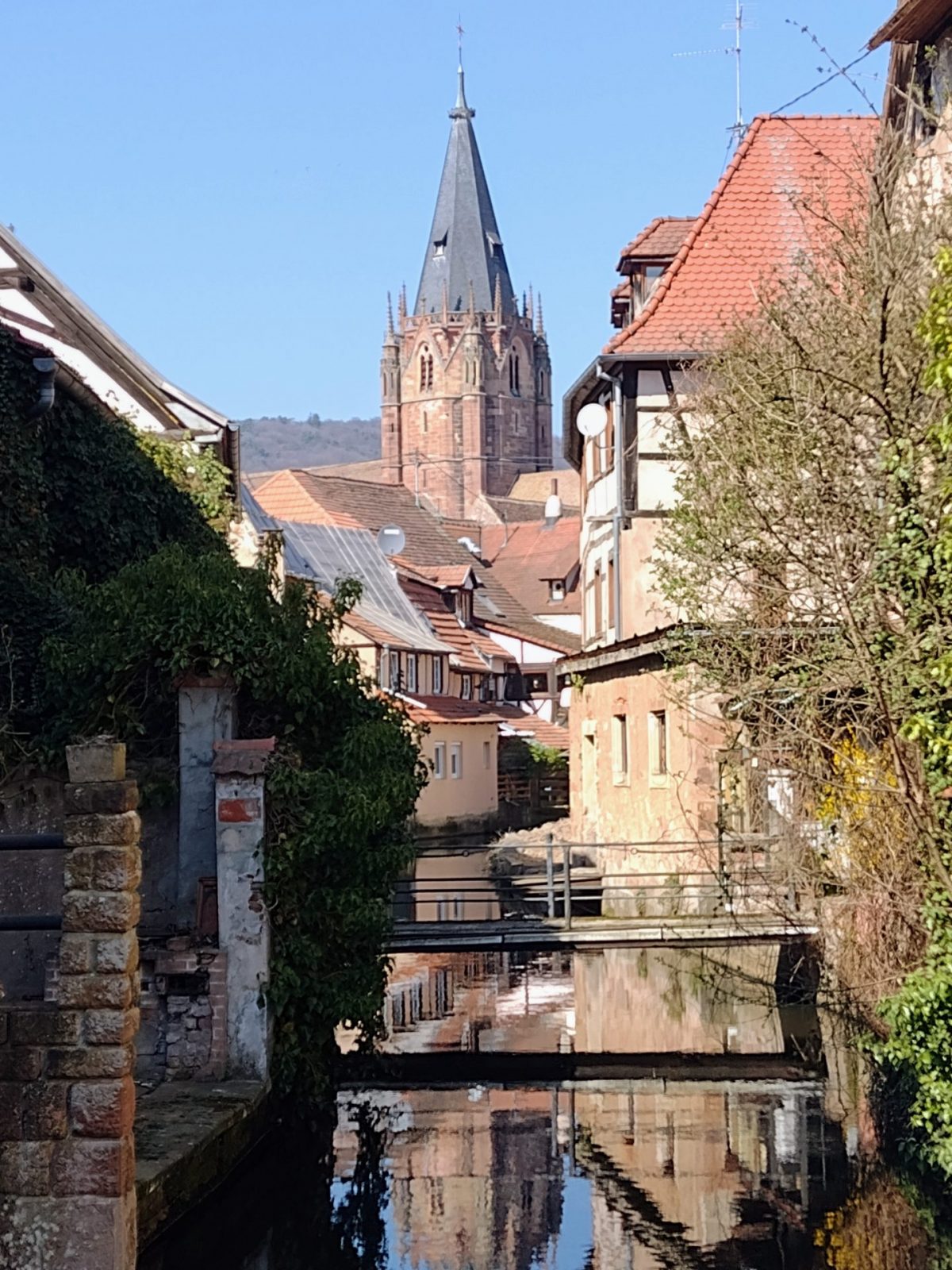 IMG_20220322_130225929