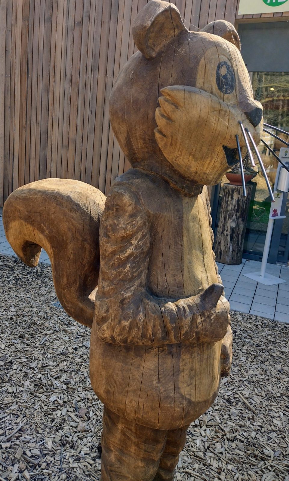 IMG_20220323_140354959_HDR