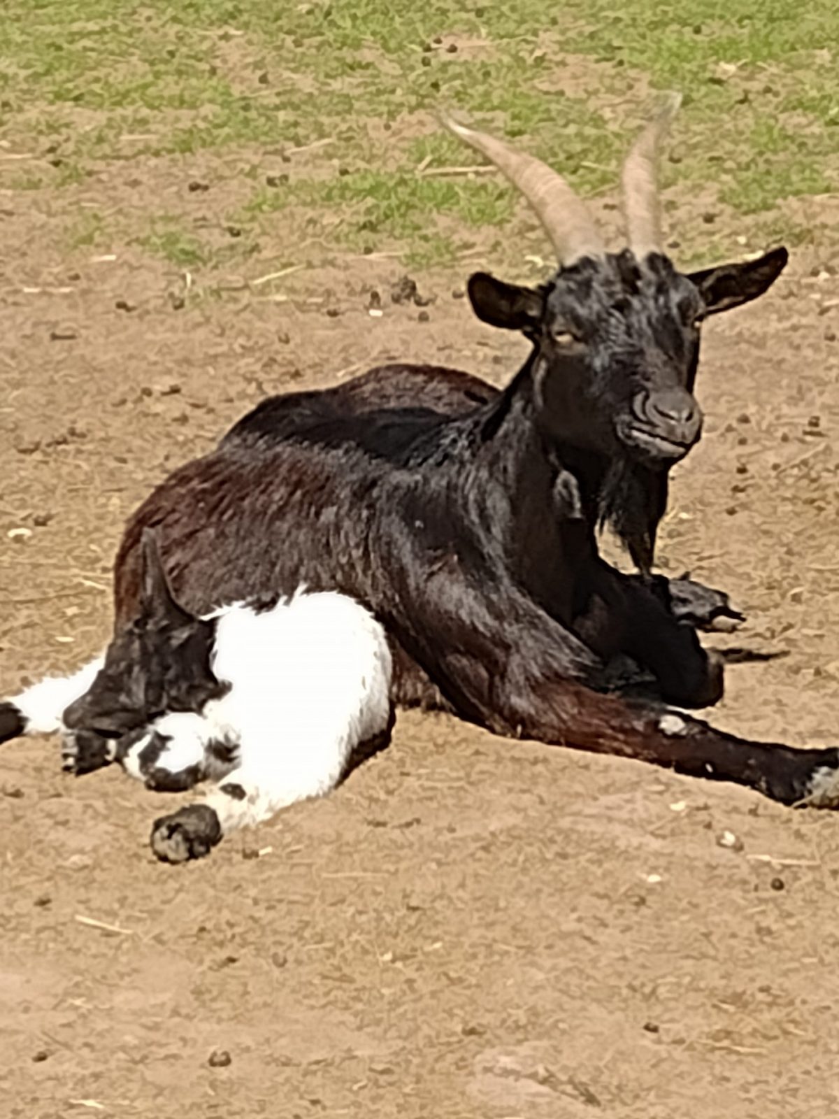 IMG_20220325_124622756