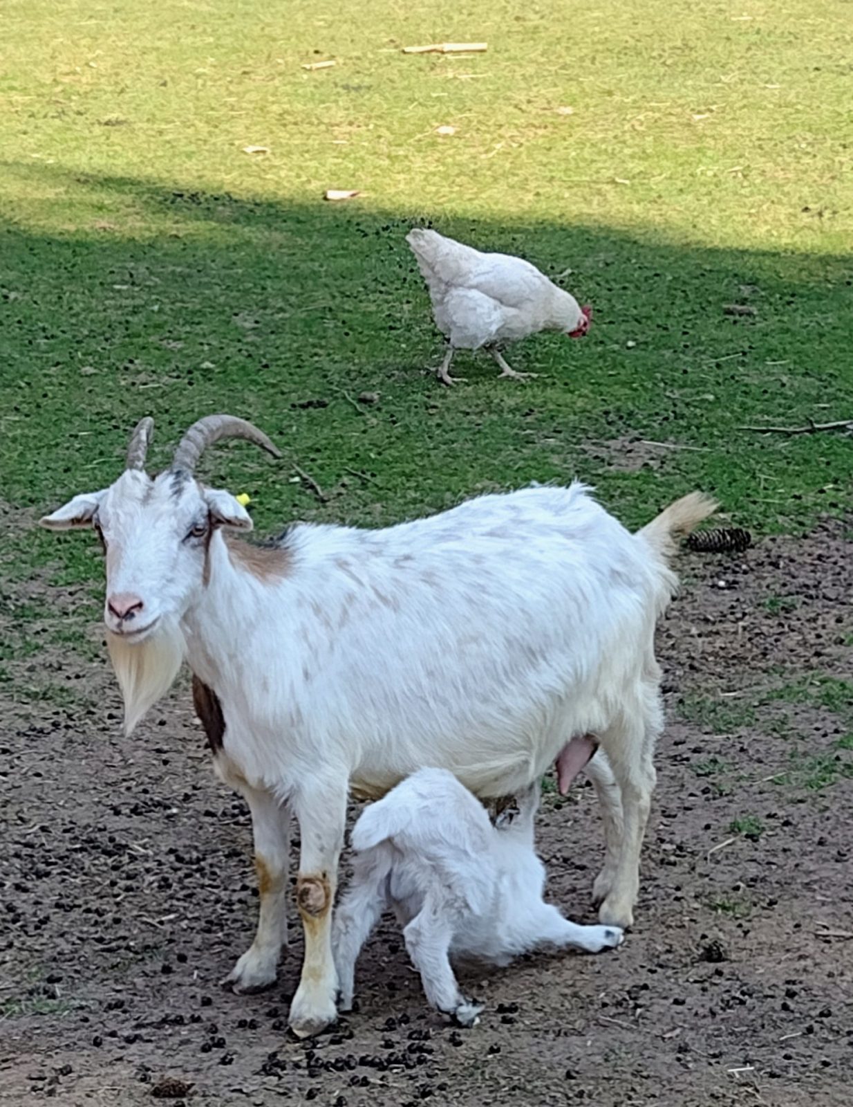 IMG_20220325_125018814