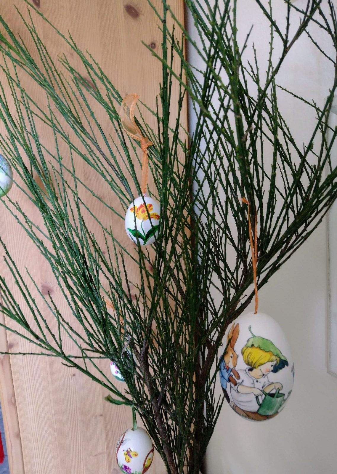 IMG_20220327_121257943