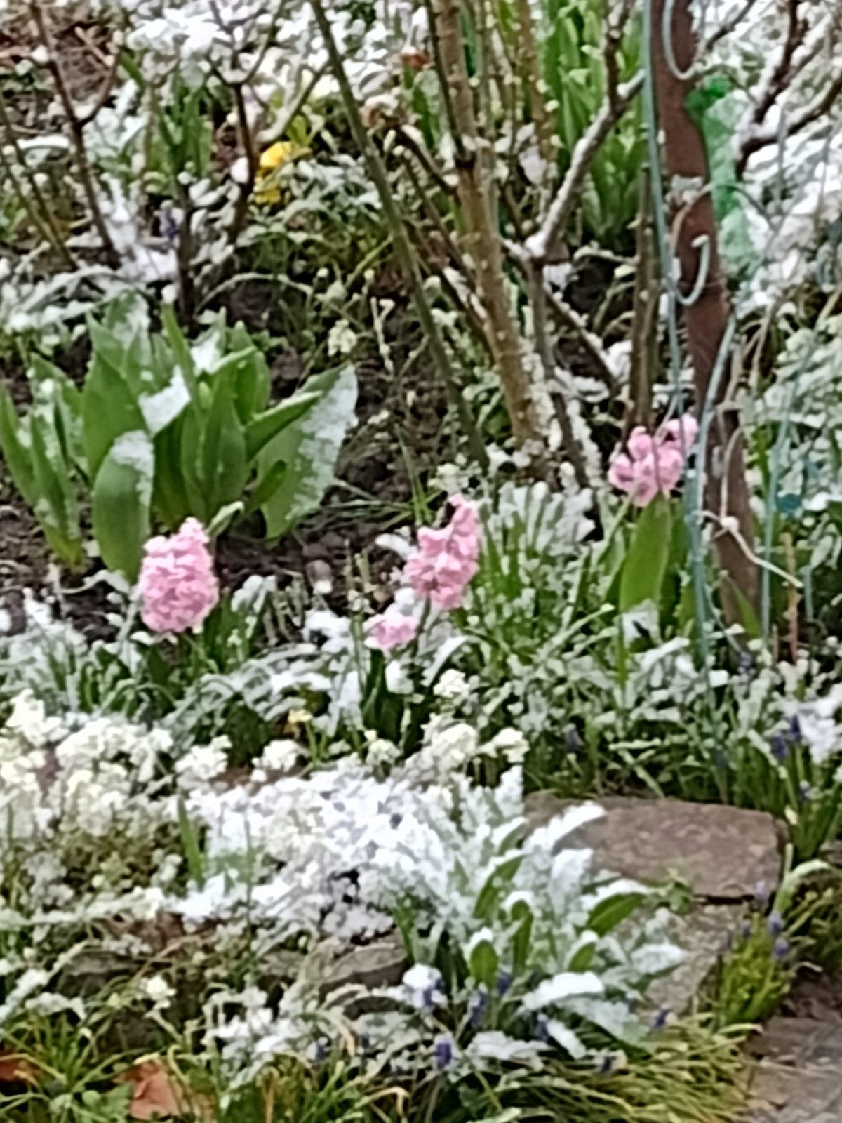 IMG_20220402_081251951