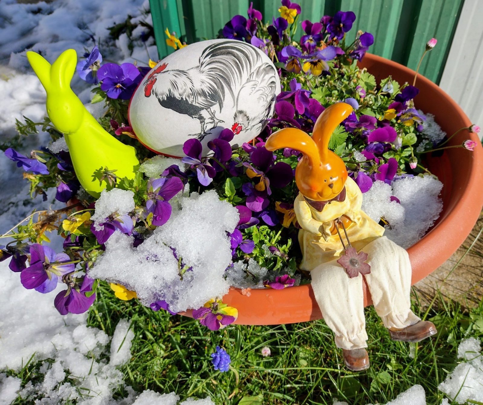 IMG_20220409_094555267_HDR