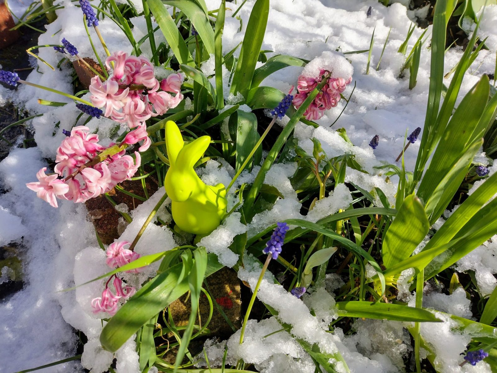 IMG_20220409_094644853_HDR