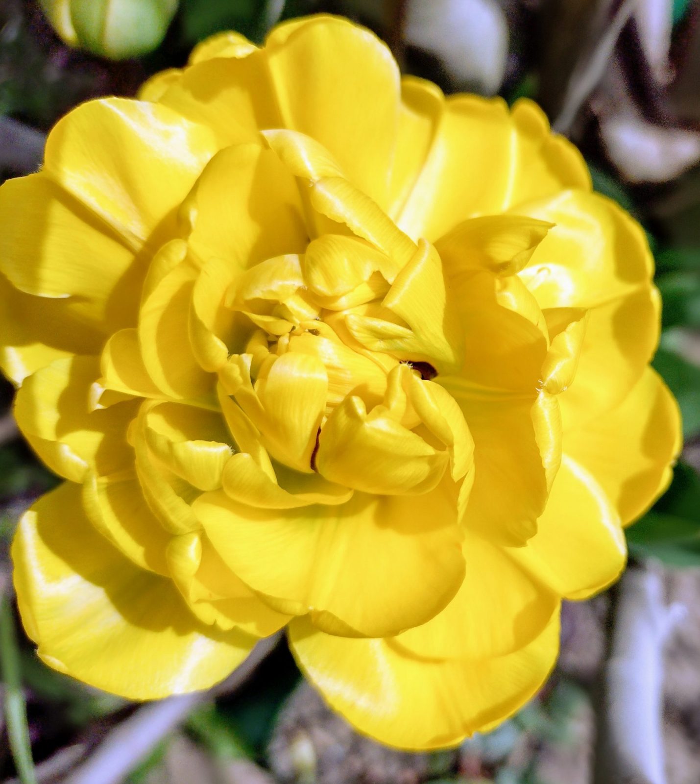 IMG_20220413_134433645_HDR