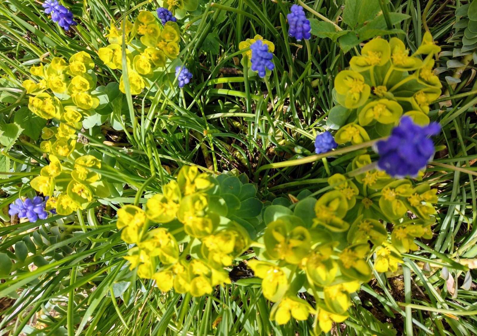 IMG_20220413_134503468_HDR