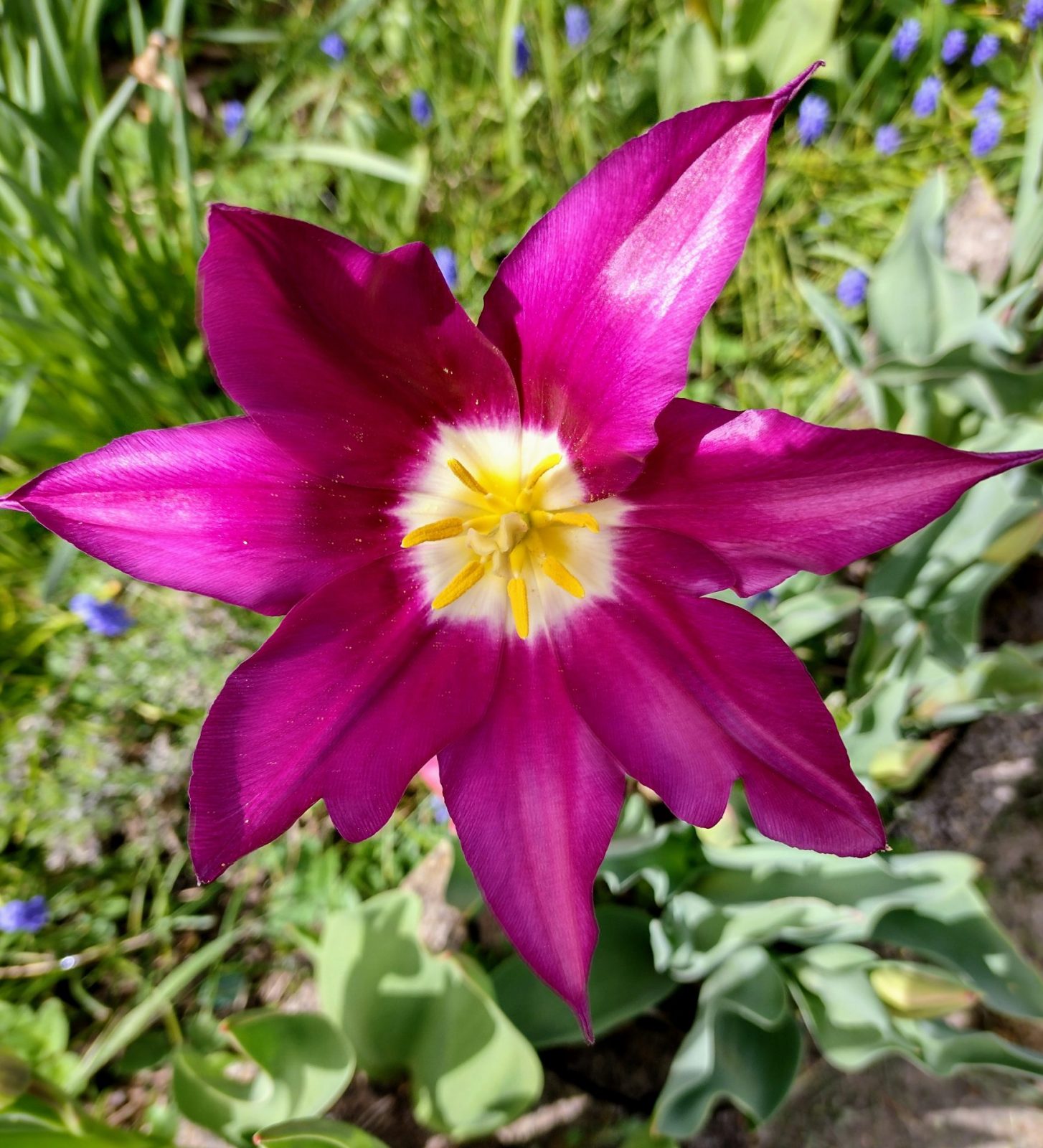 IMG_20220413_134513903_HDR