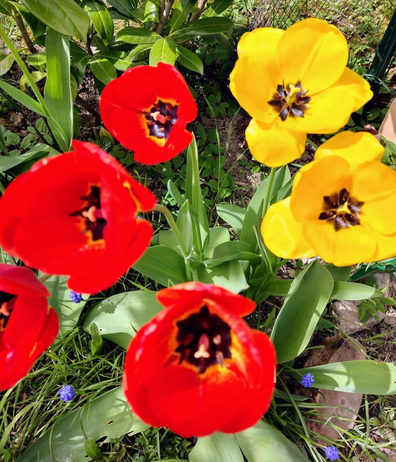 IMG_20220413_134531742_HDR