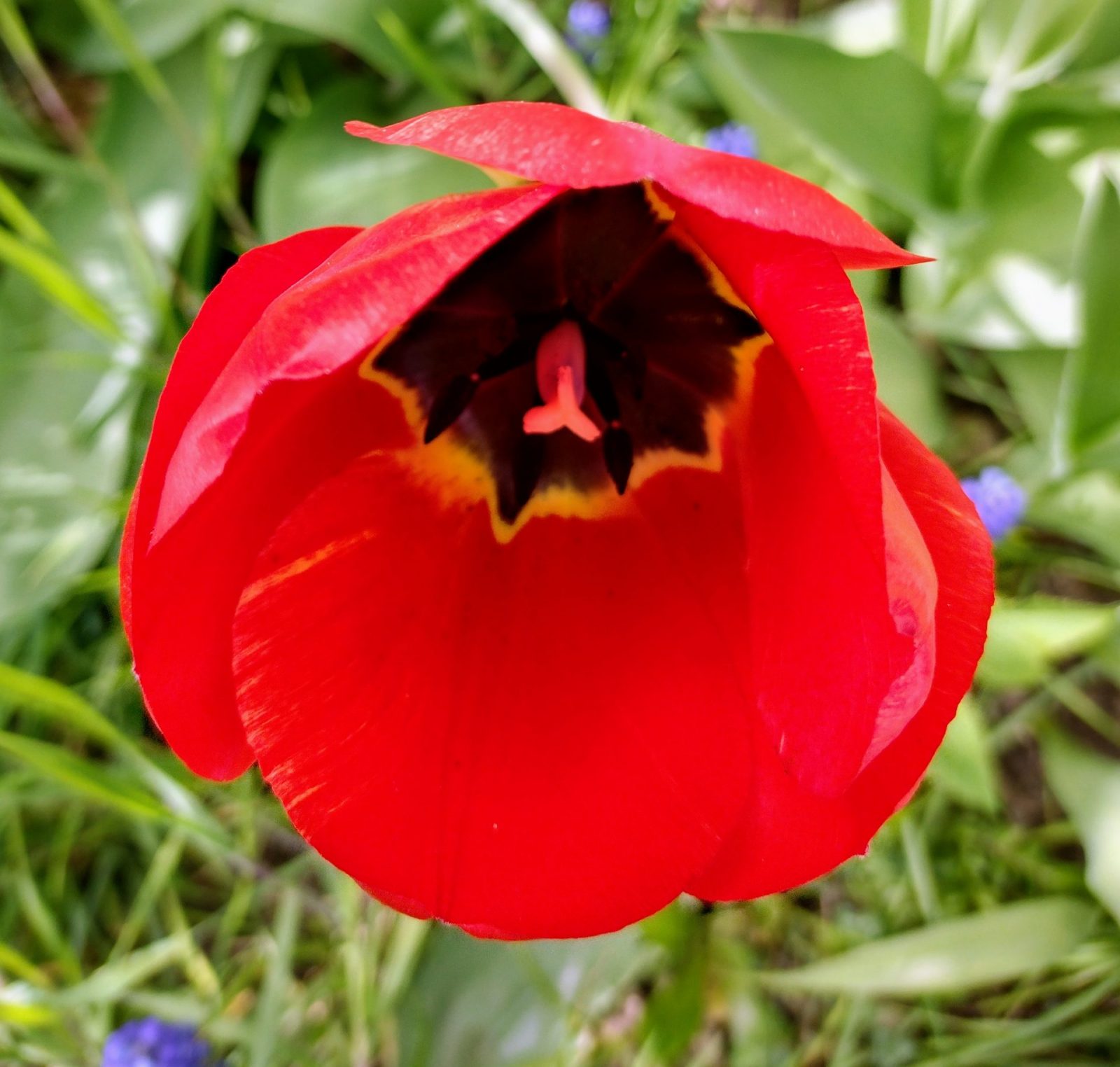 IMG_20220413_134548177_HDR