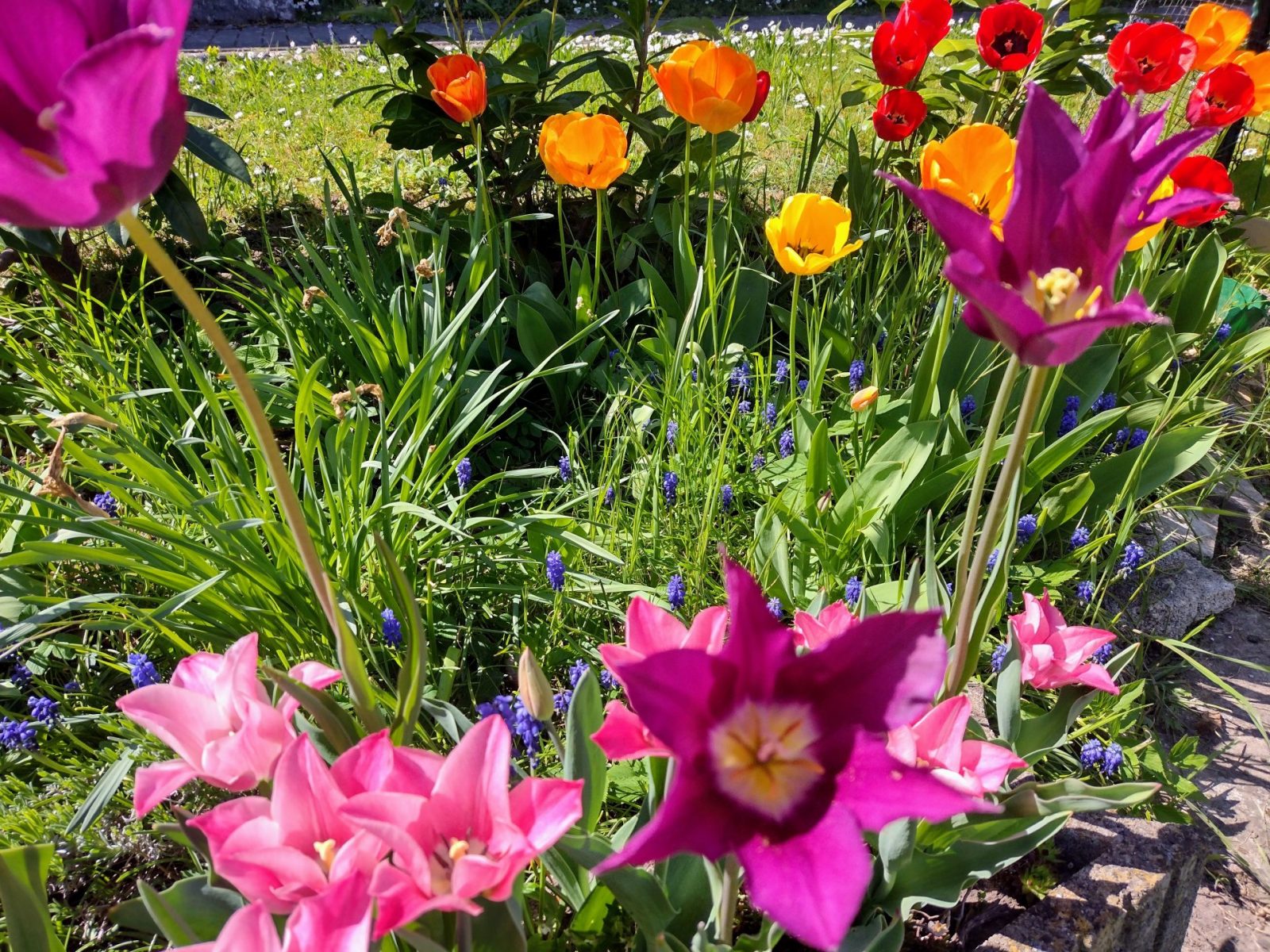 IMG_20220418_140631322_HDR