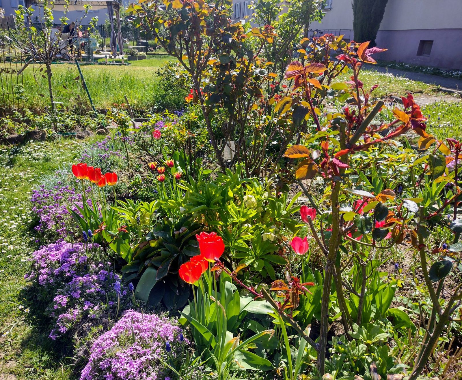 IMG_20220418_140715467_HDR