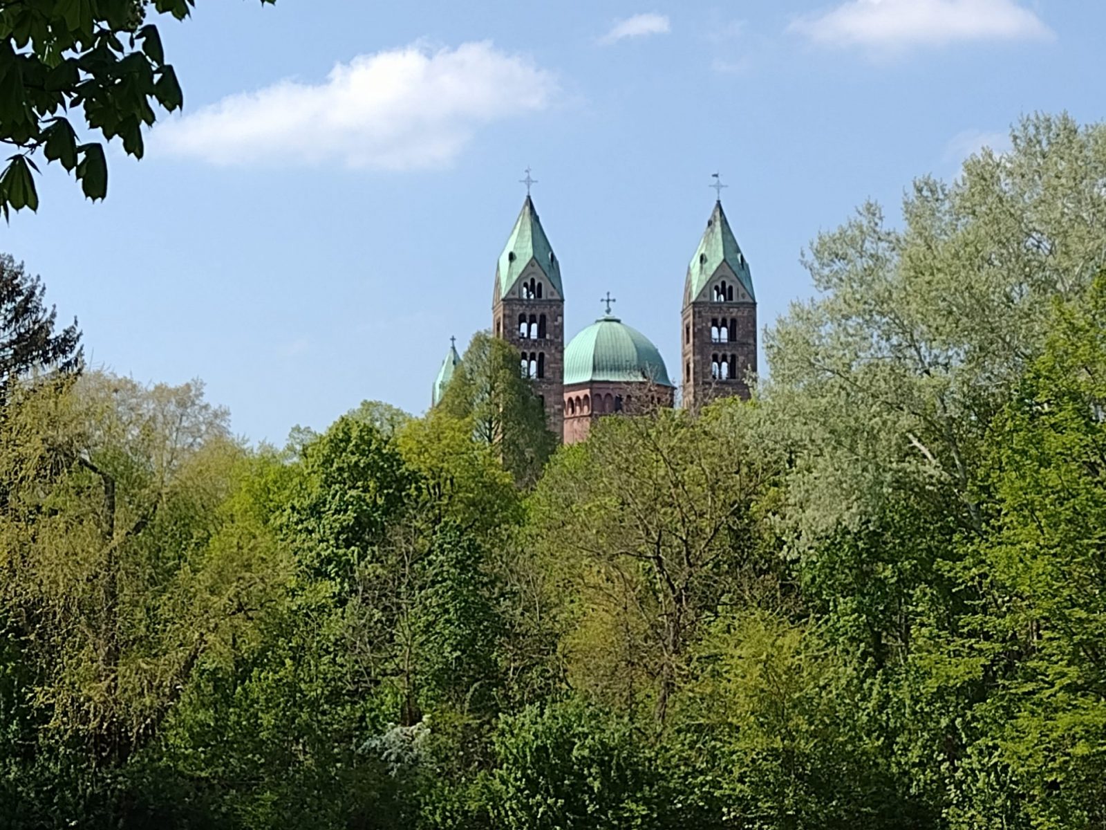 IMG_20220422_135517676