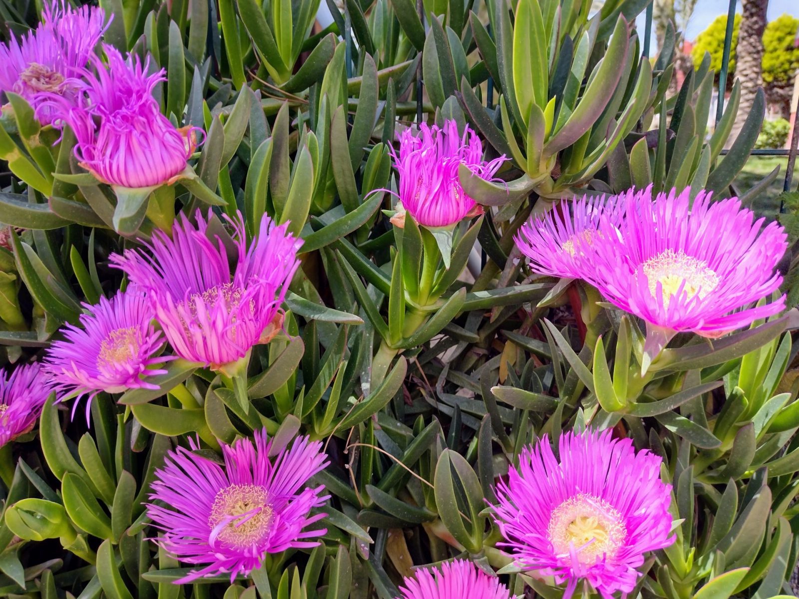 IMG_20220426_133044467_HDR